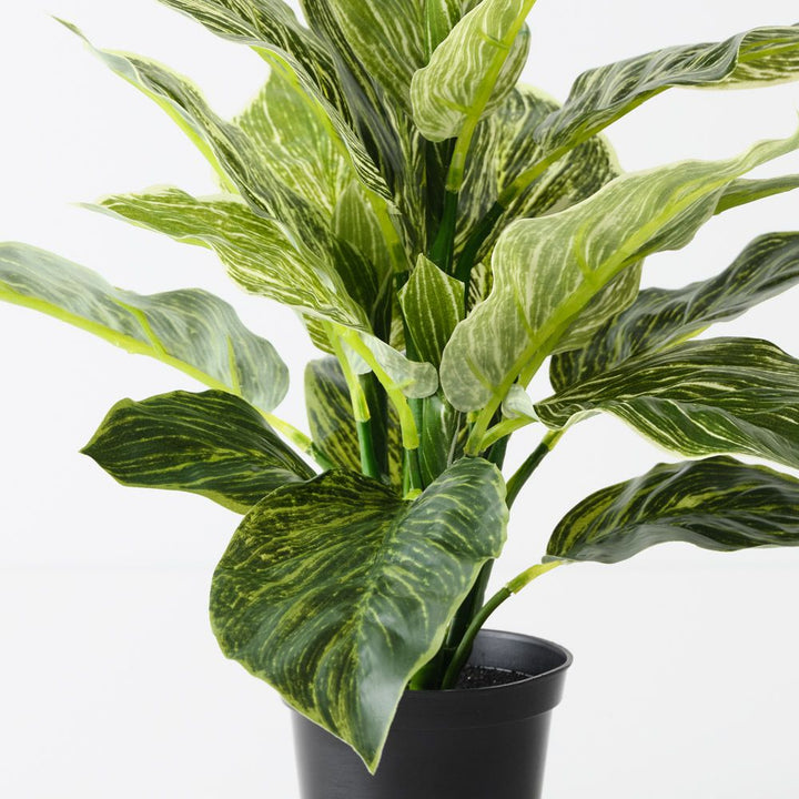 Artificial variegated dieffenbachia plant 43cm – view 2