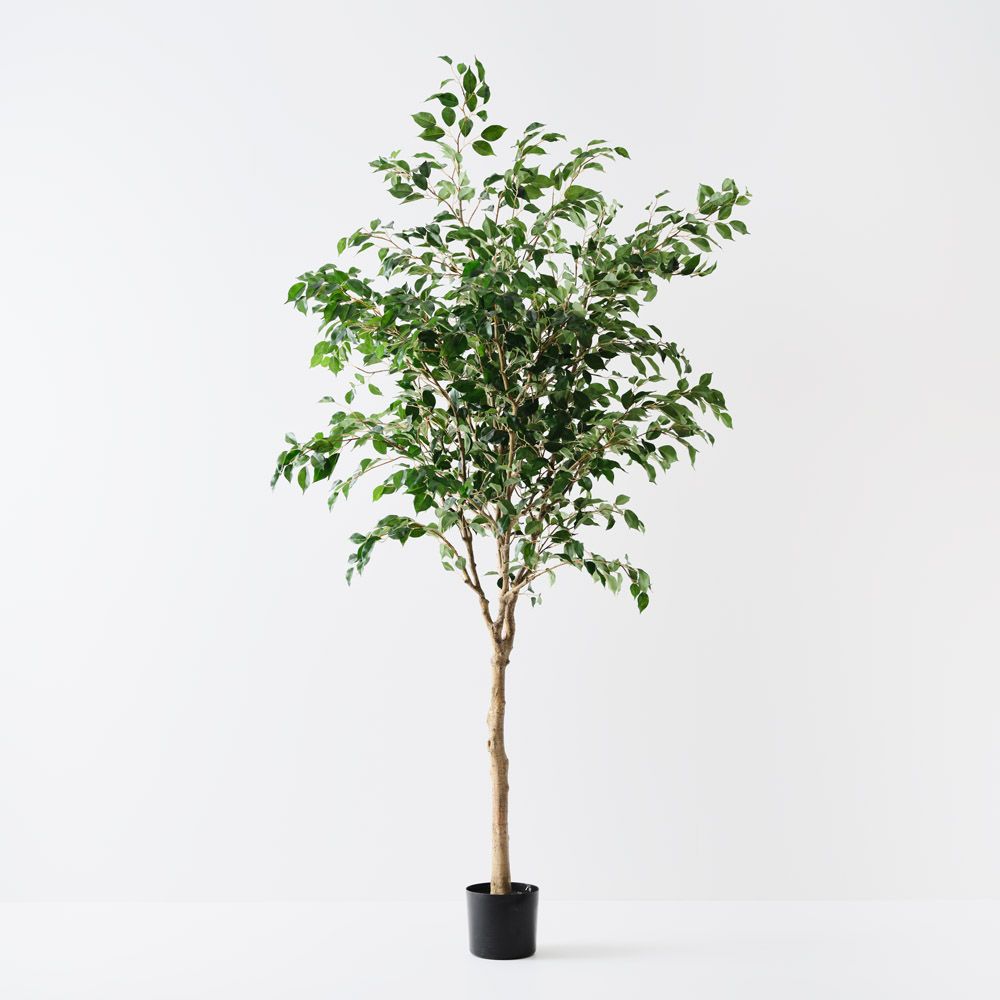 Artificial ficus tree 230cm