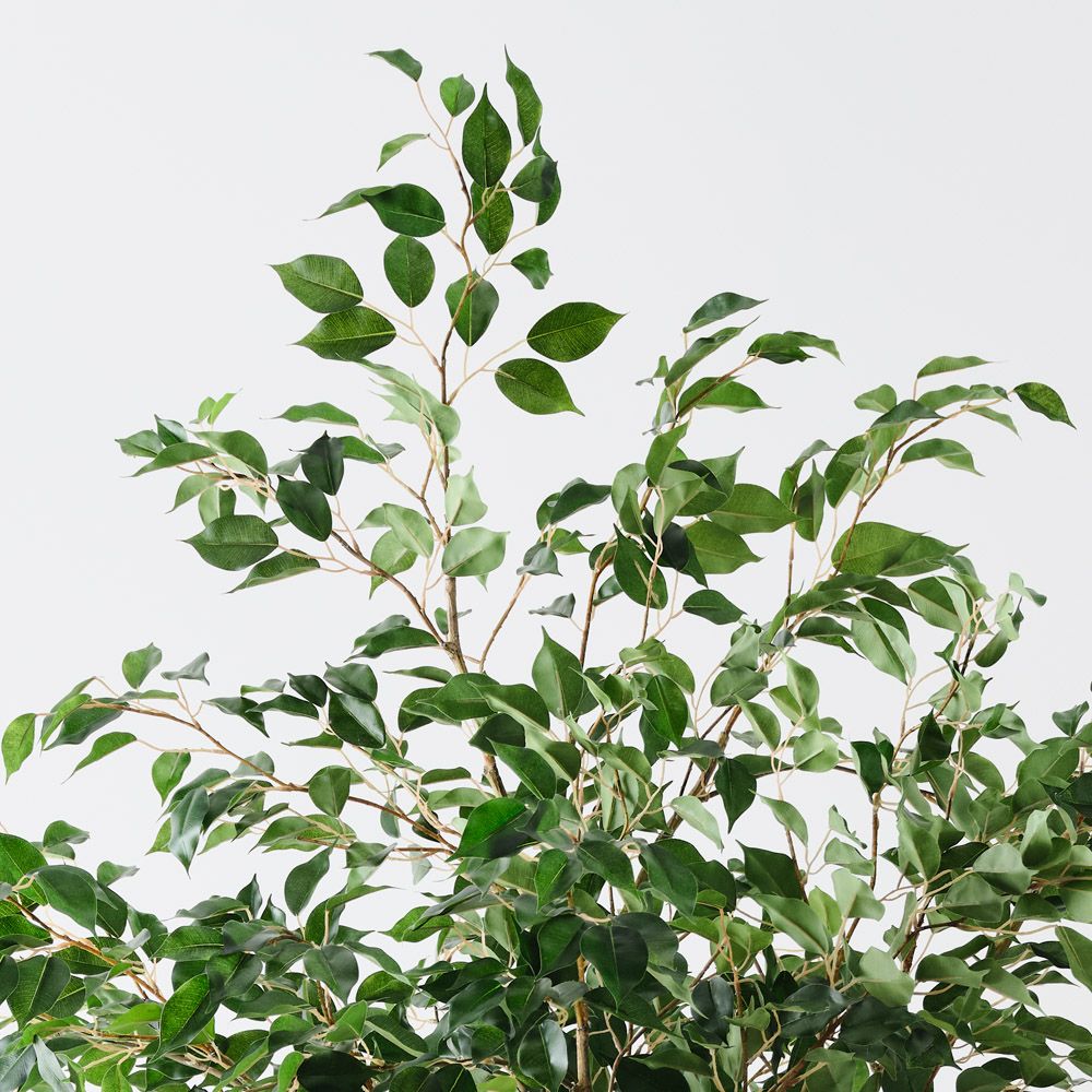 Artificial ficus tree 230cm – view 3