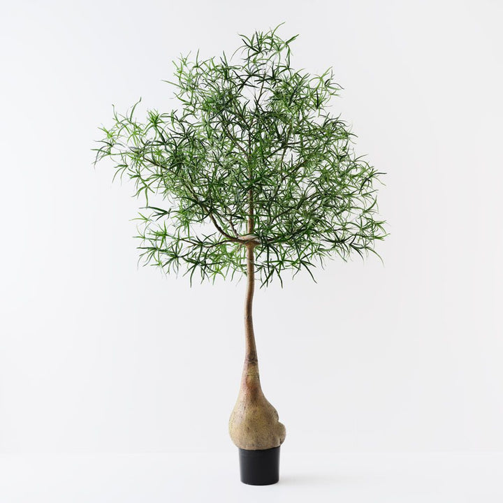 Artificial bottle tree 245cm