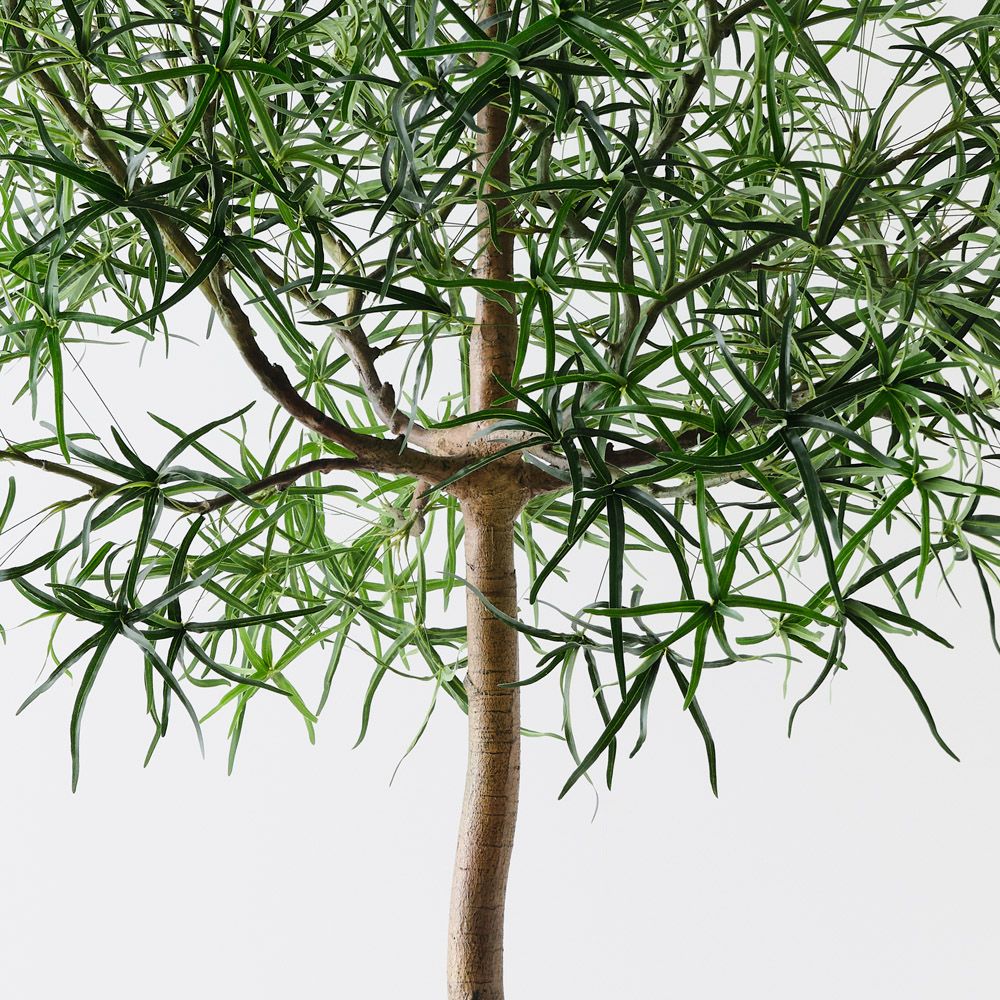 Artificial bottle tree 245cm – view 3