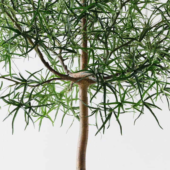 Artificial bottle tree 245cm – view 3