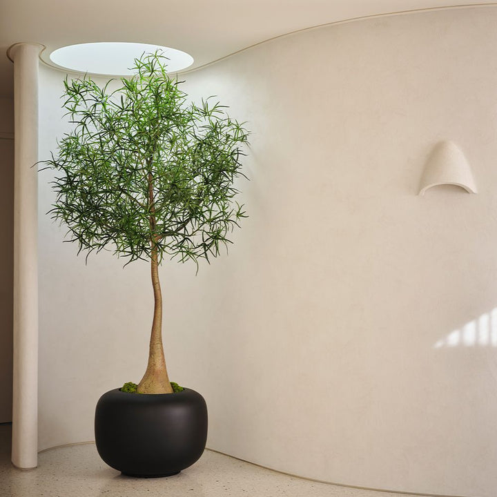 Artificial bottle tree 245cm – view 2