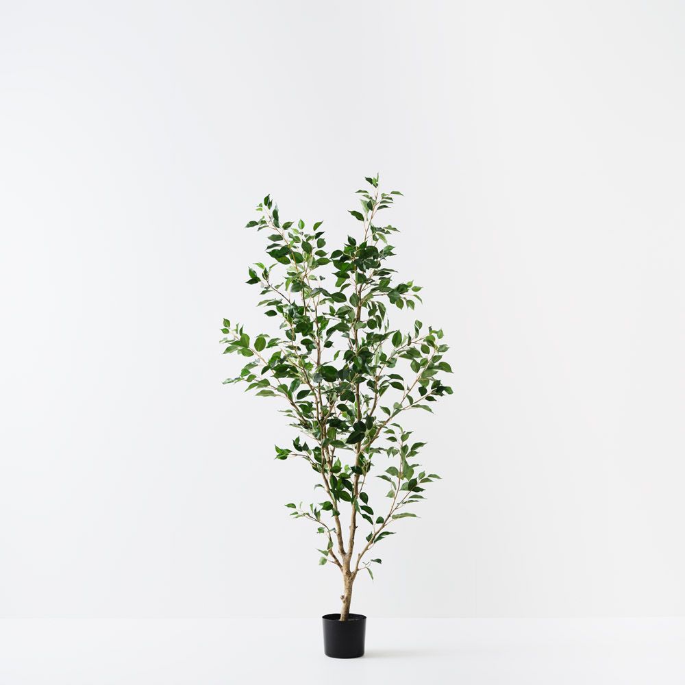 Artificial ficus tree 183cm