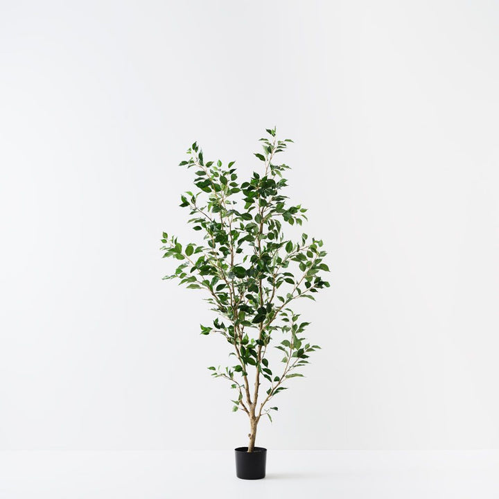 Artificial ficus tree 183cm