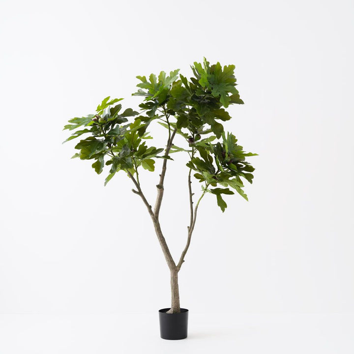 Artificial fig tree 180cm