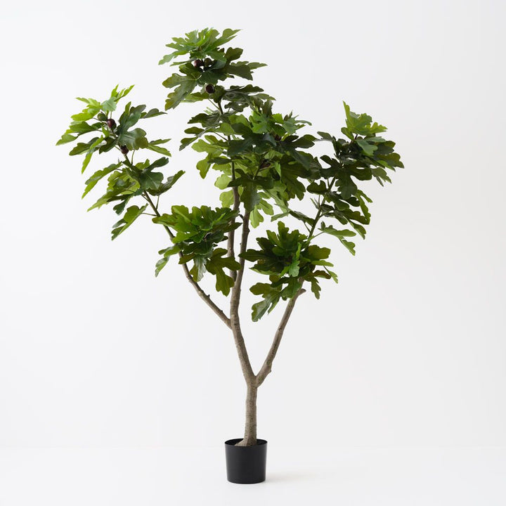 Artificial fig tree 210cm