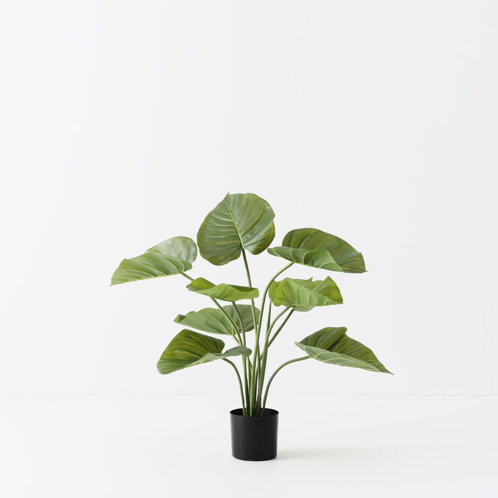 Artificial taro plant 60cm