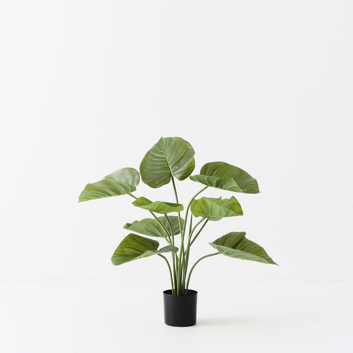 Artificial taro plant 60cm