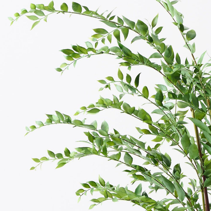 Artificial ruscus plant 122cm – view 2