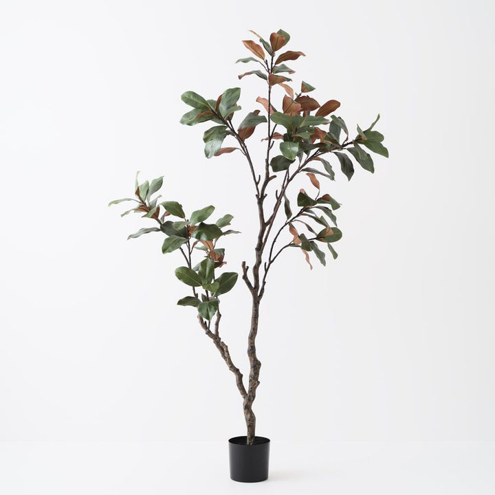 Artificial magnolia tree 210cm, green