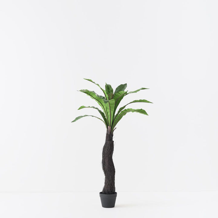 Artificial bird's nest fern plant 120cm