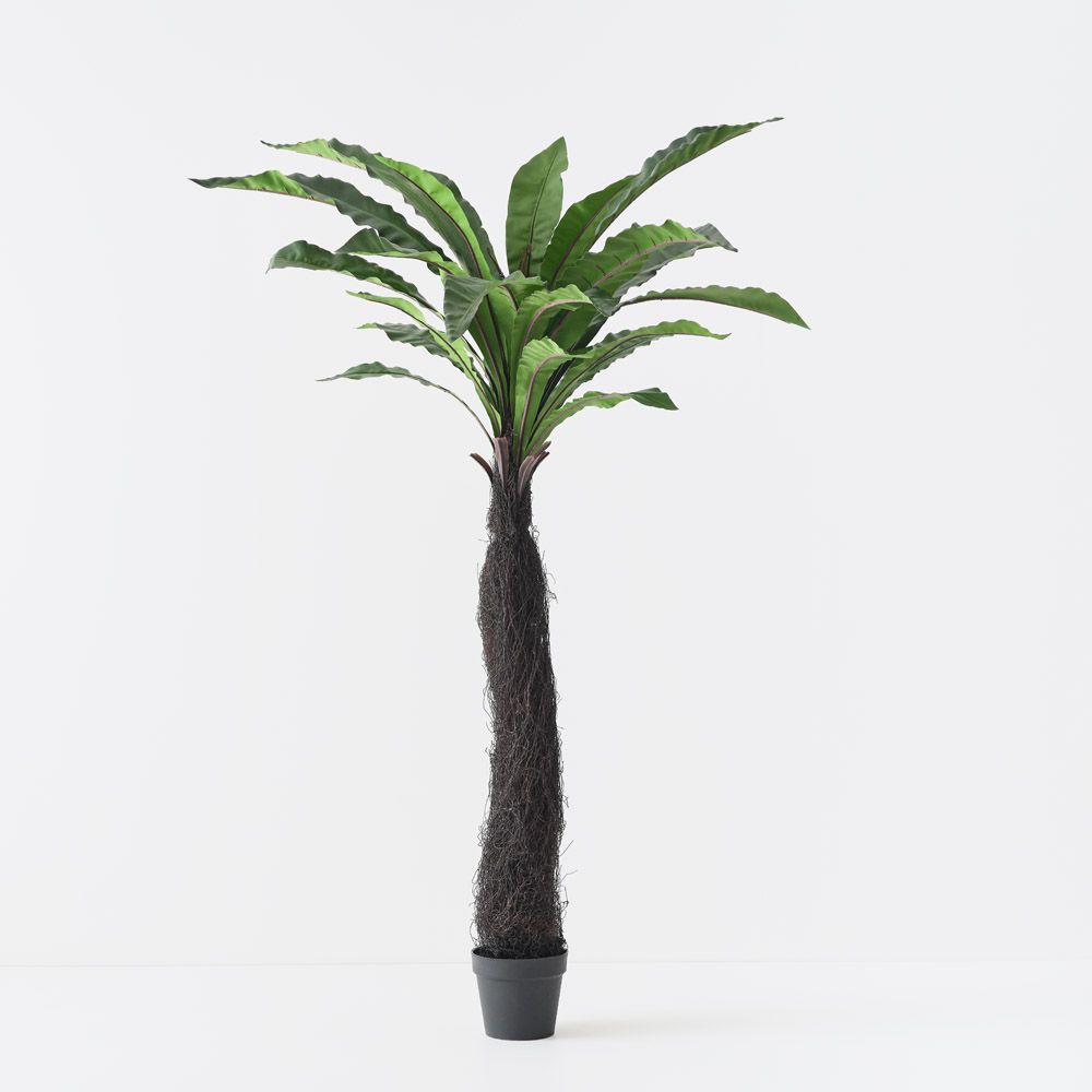 Artificial bird's nest fern plant 180cm