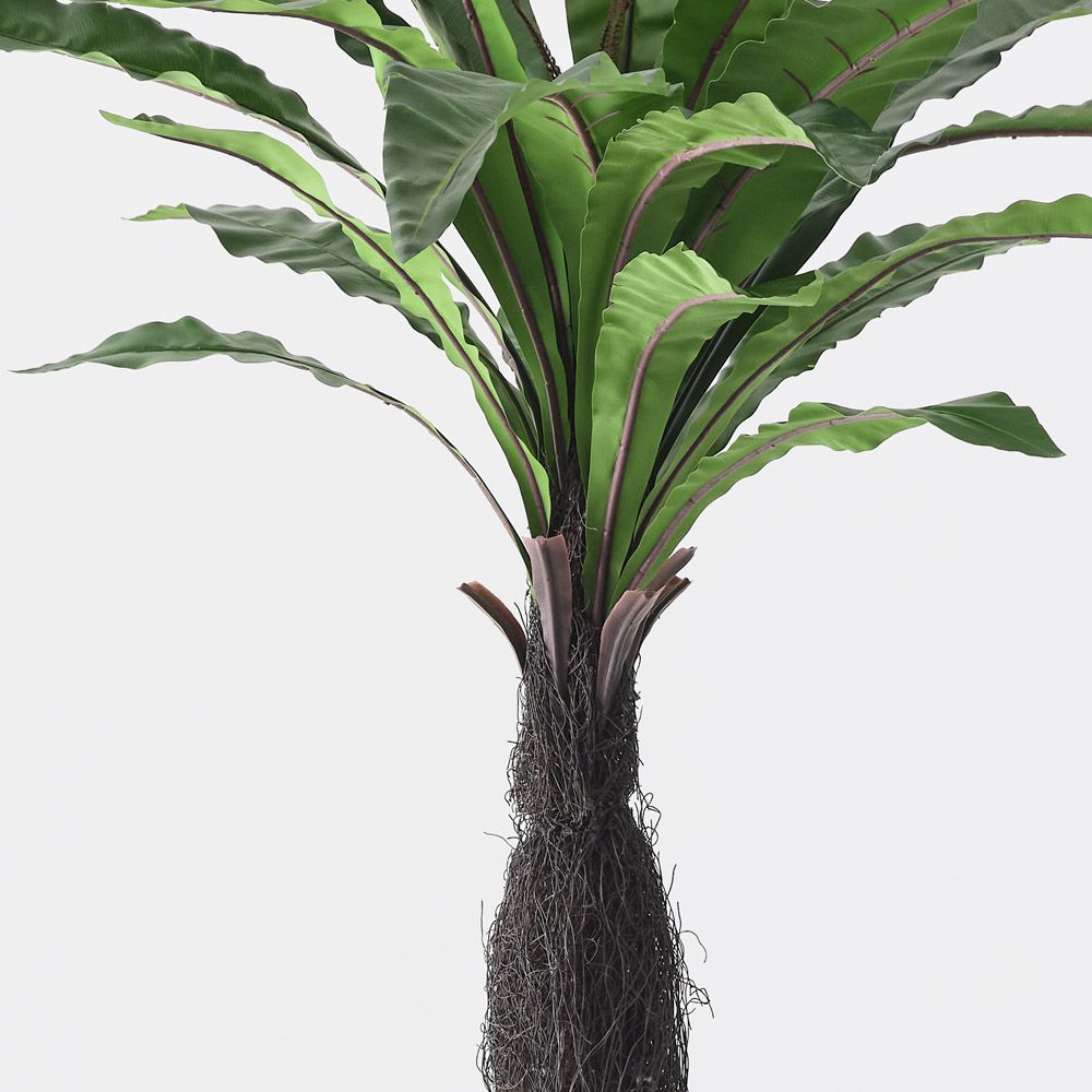 Artificial bird's nest fern plant 180cm – view 2