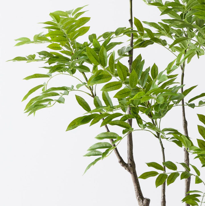 Artificial lacquer tree 190cm – view 3