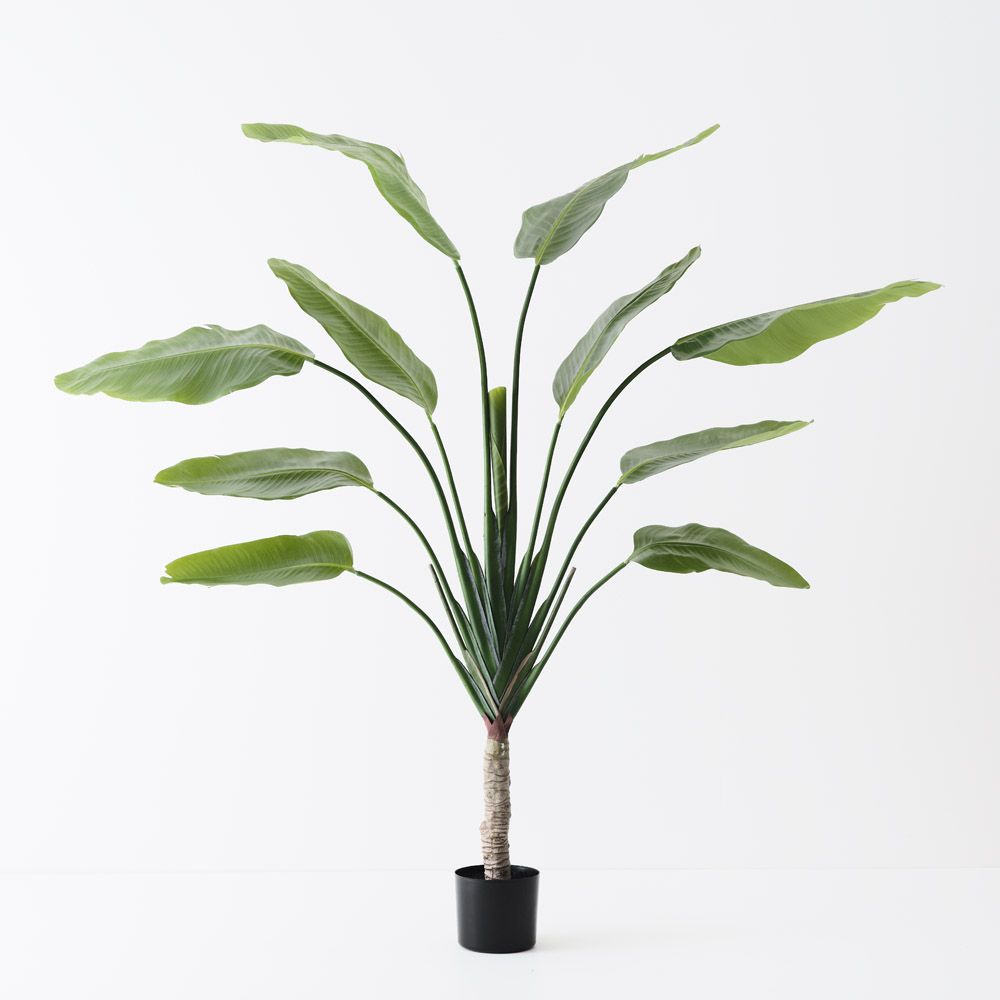 Artificial traveller palm 180cm