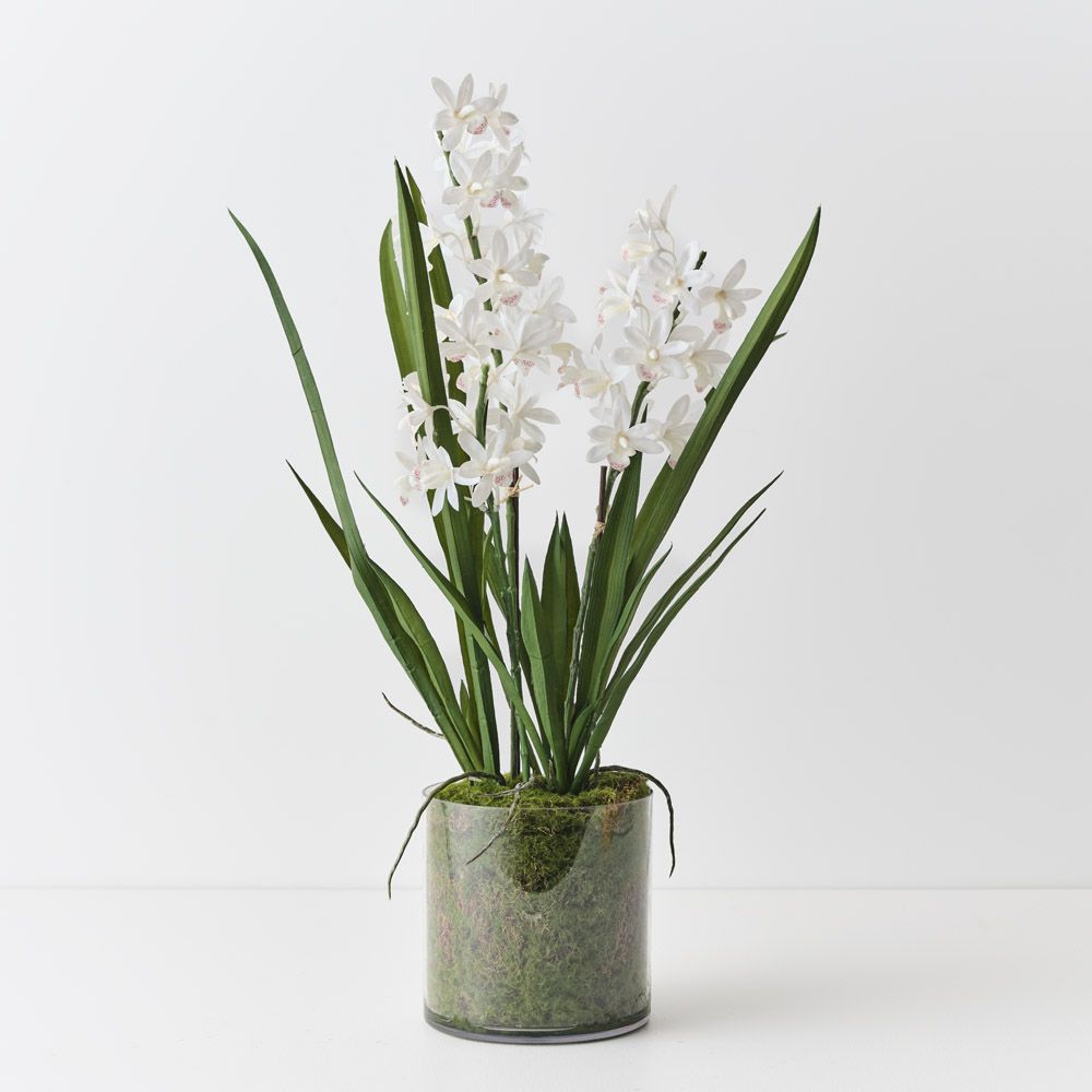 Artificial white cymbidium orchid in vase 60cm