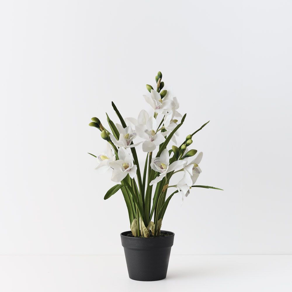 Artificial white cymbidium orchid plant 69cm