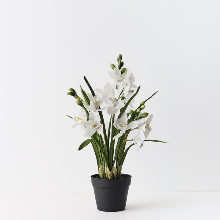 Artificial white cymbidium orchid plant 69cm