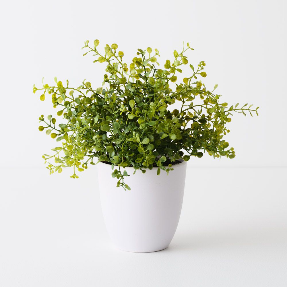 Artificial boxwood plant 28cm