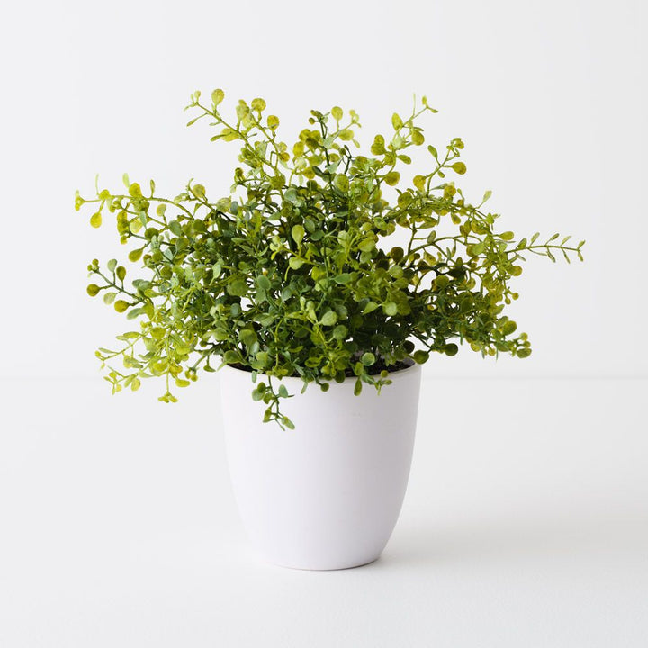 Artificial boxwood plant 28cm