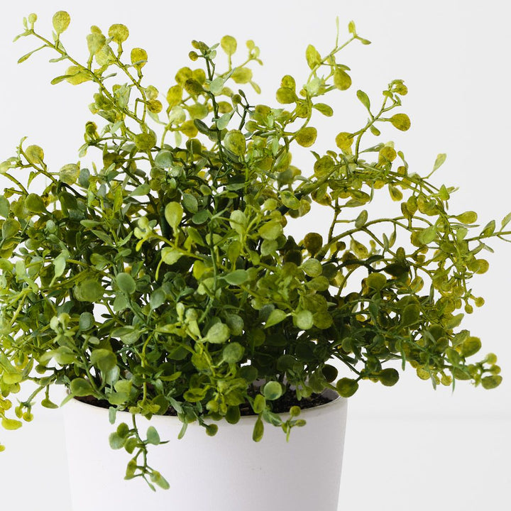 Artificial boxwood plant 28cm – view 2