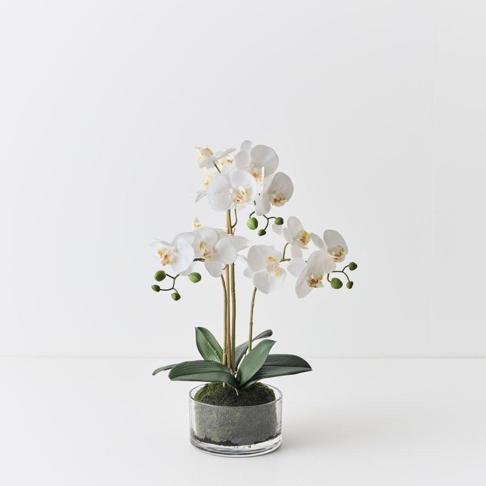 Artificial white phalaenopsis orchid in glass bowl 50cm
