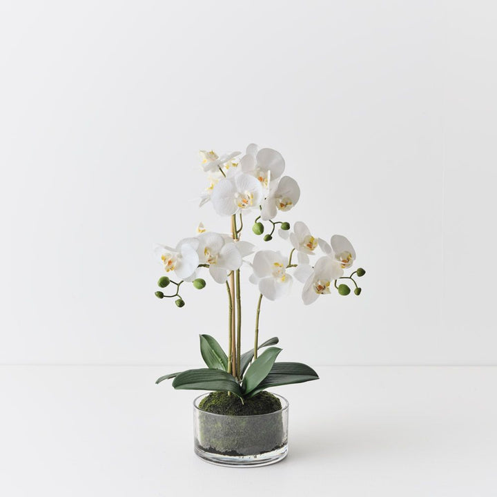 Artificial white phalaenopsis orchid in glass bowl 50cm