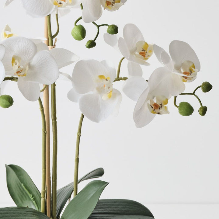 Artificial white phalaenopsis orchid in glass bowl 50cm – view 2