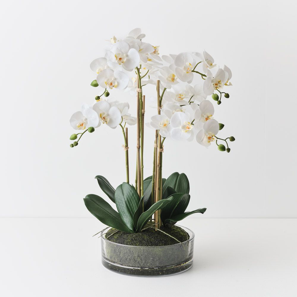 Artificial white phalaenopsis orchid in glass bowl 64cm