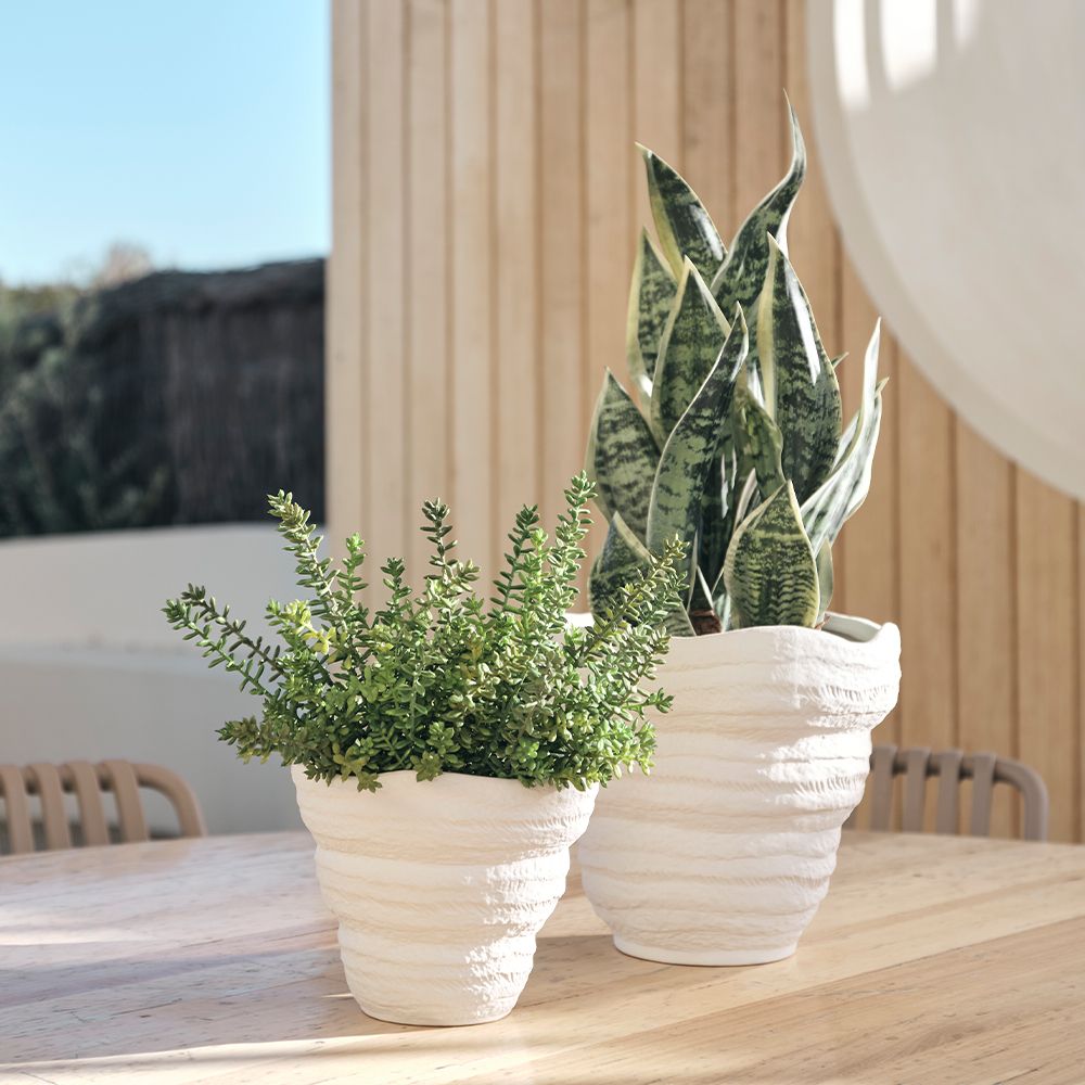 Artificial sansevieria snake plant 51cm, green and white – view 3