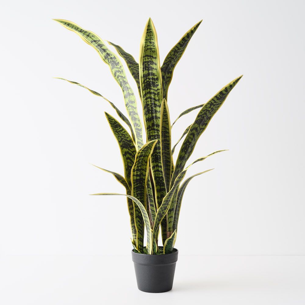 Artificial yellow-green sansevieria snake plant 105cm