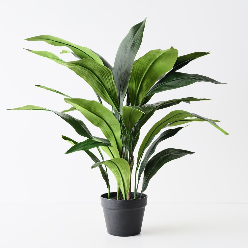 Artificial aspidistra plant 83cm