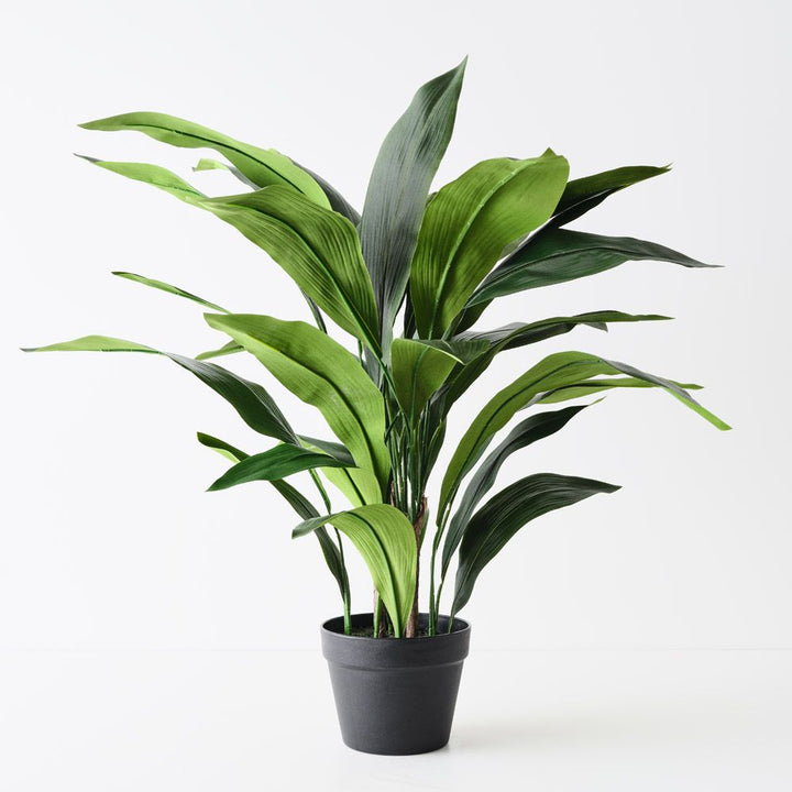 Artificial aspidistra plant 83cm
