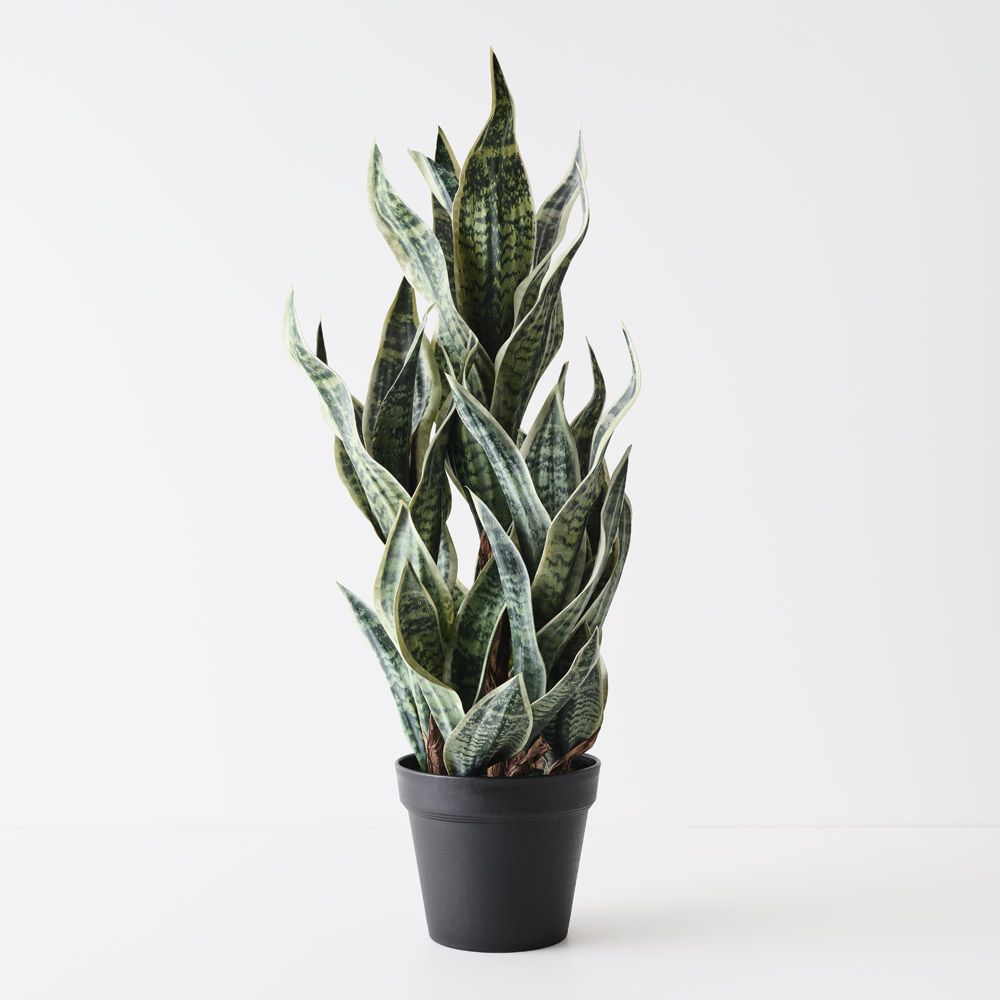 Artificial sansevieria snake plant 81cm, green and white