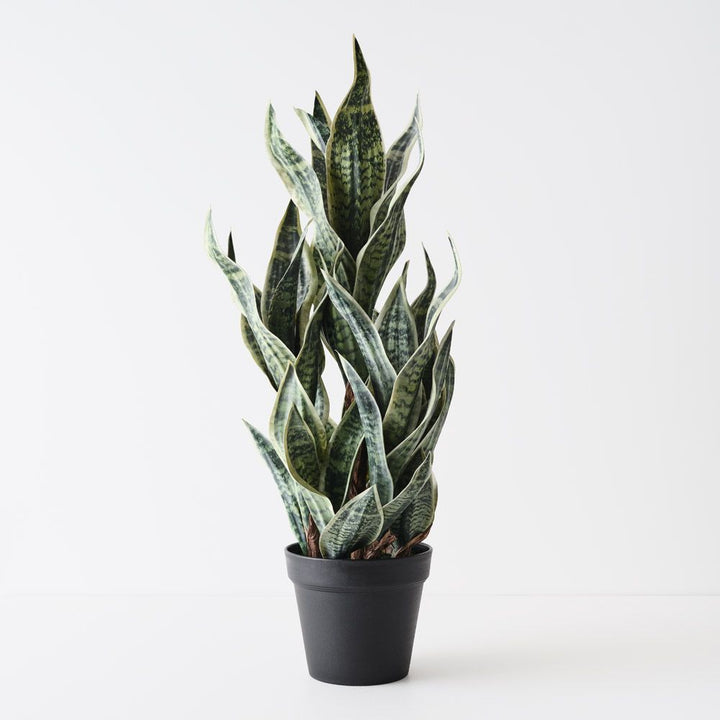 Artificial sansevieria snake plant 81cm, green and white