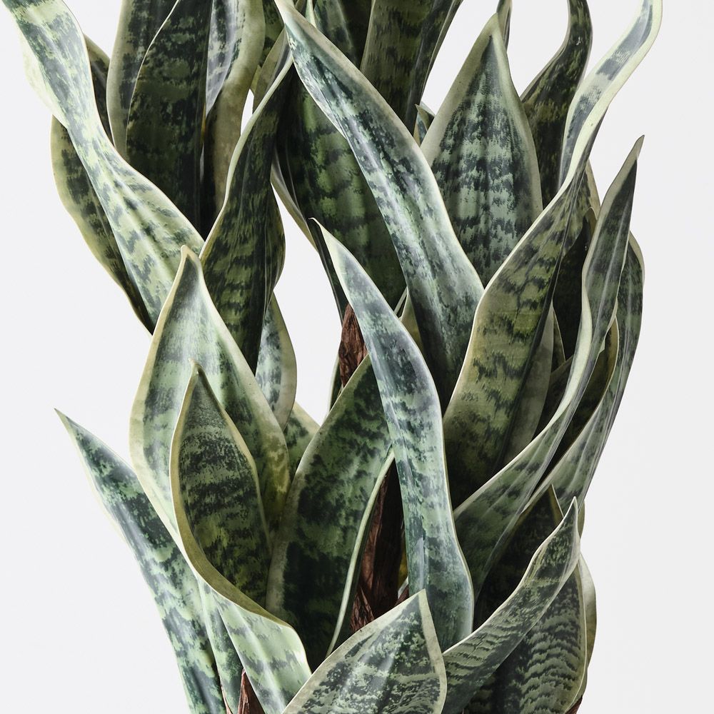 Artificial sansevieria snake plant 81cm, green and white – view 2