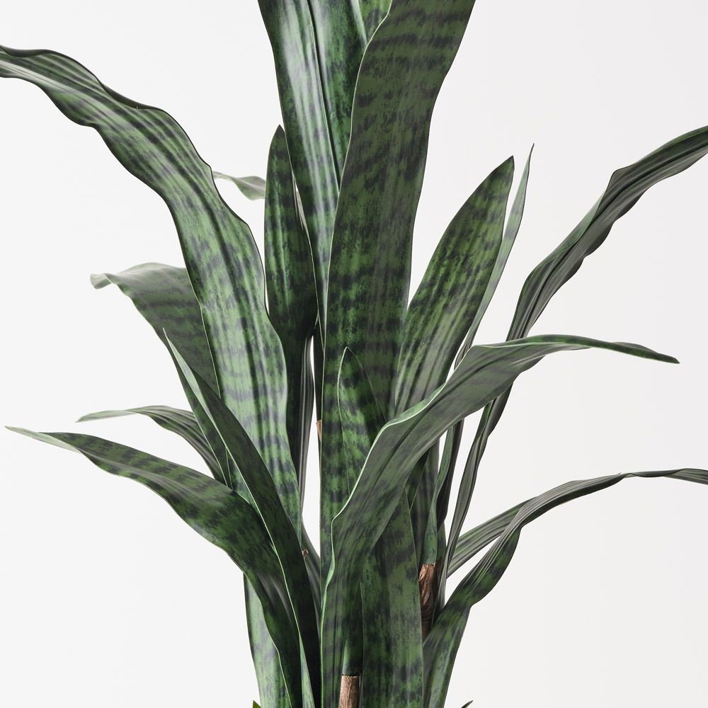 Artificial sansevieria snake plant 105cm, green – view 2