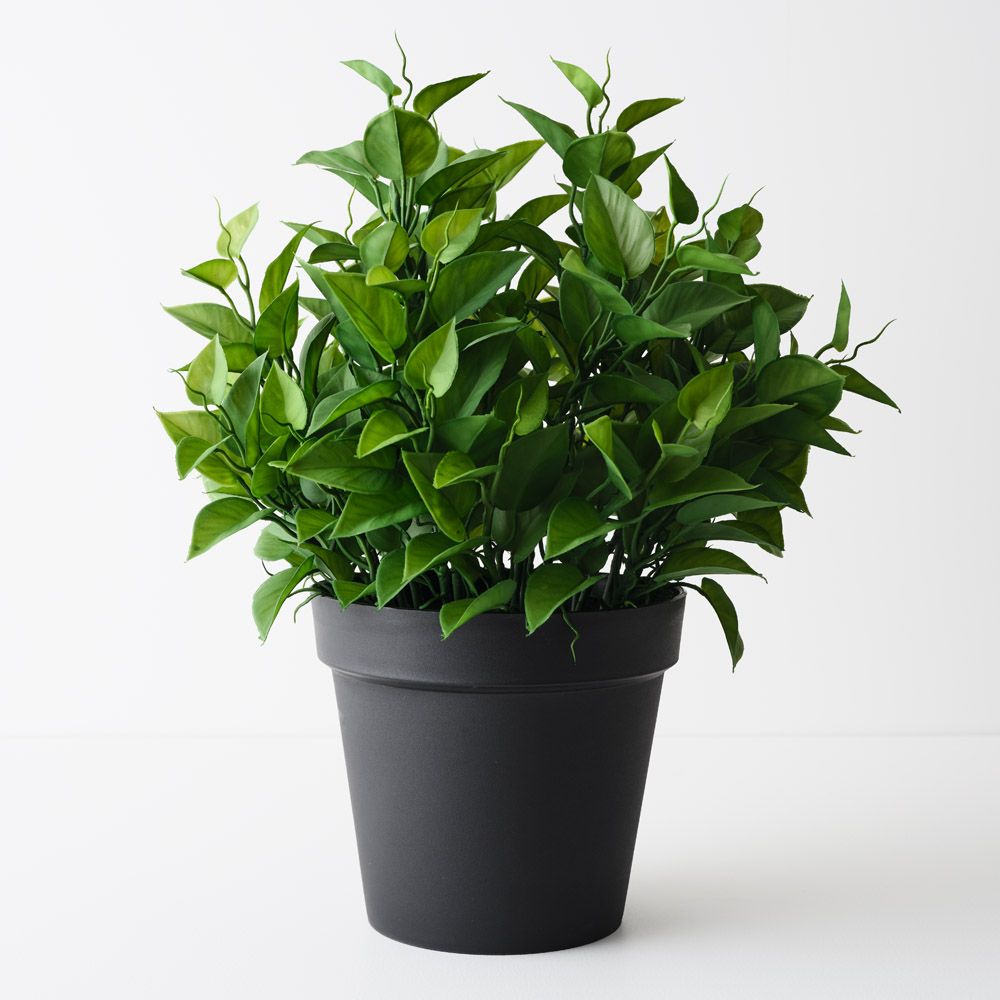 Artificial philodendron plant 50cm