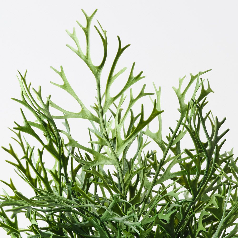 Artificial staghorn fern plant 53cm – view 2
