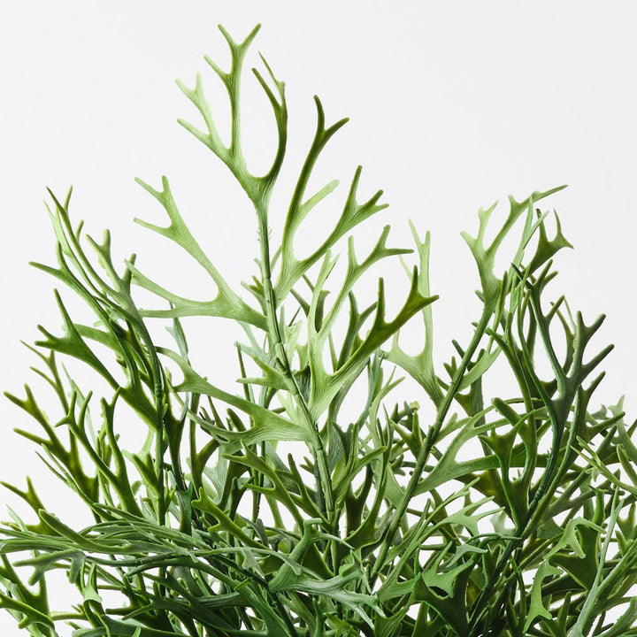 Artificial staghorn fern plant 53cm – view 2