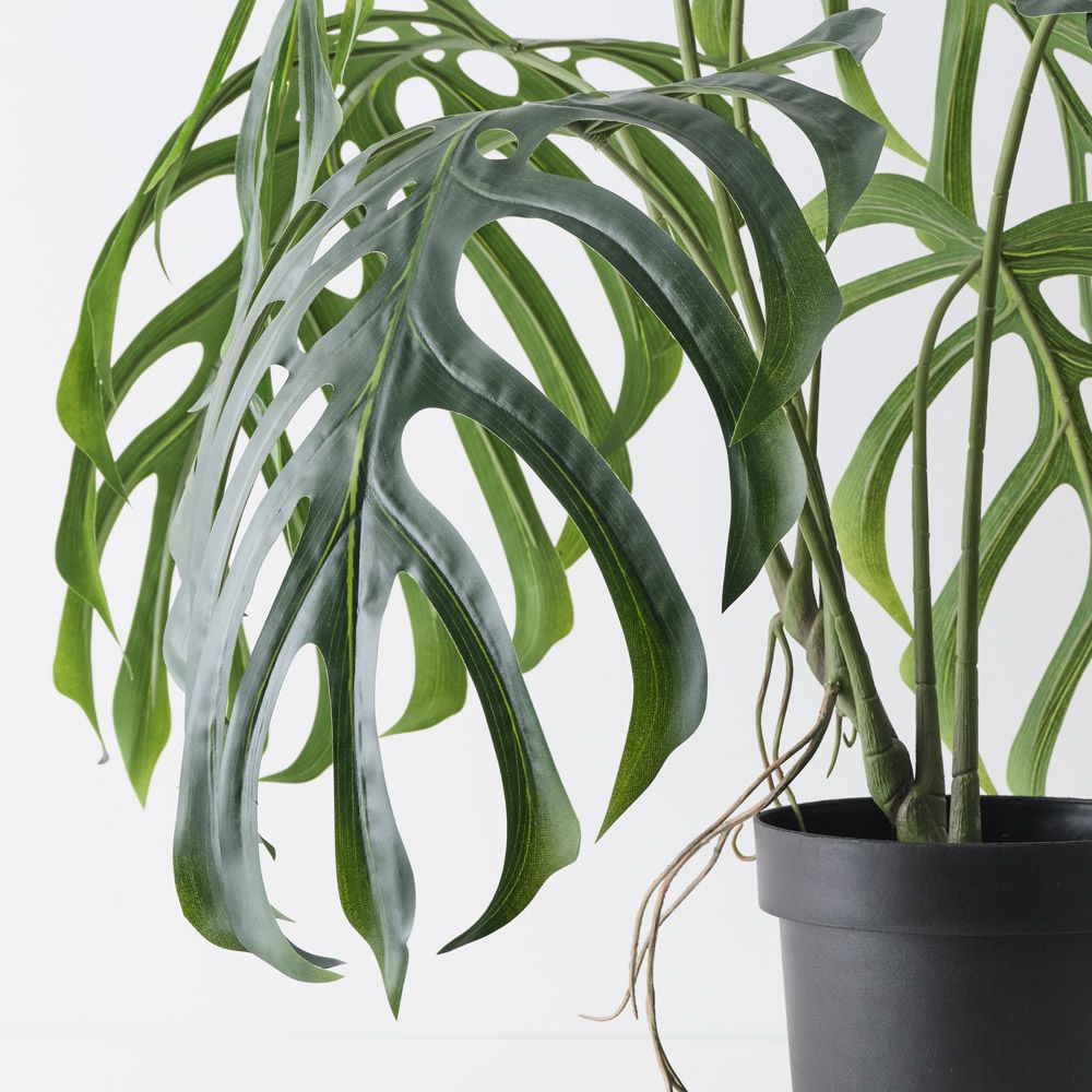 Artificial monstera dilacerata plant 80cm – view 2
