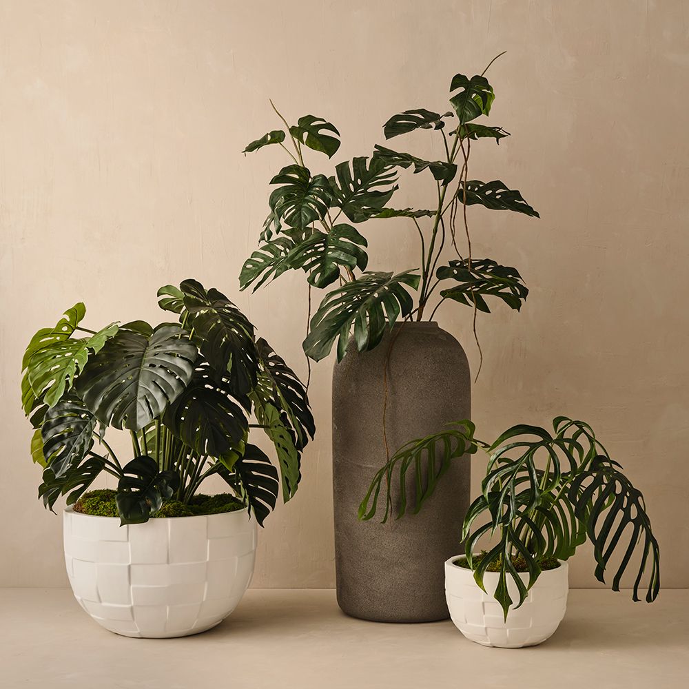 Artificial monstera dilacerata plant 80cm – view 3