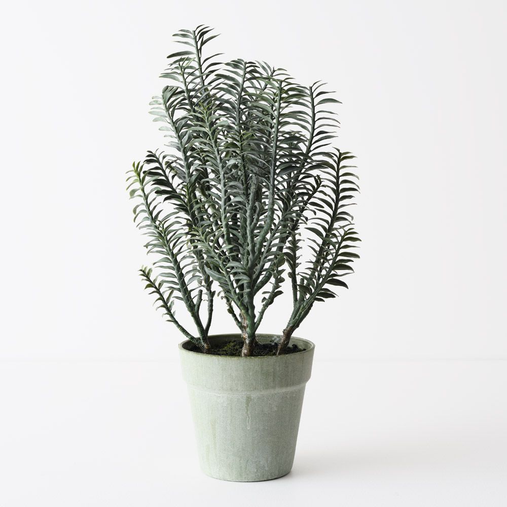 Artificial backbone plant 45cm