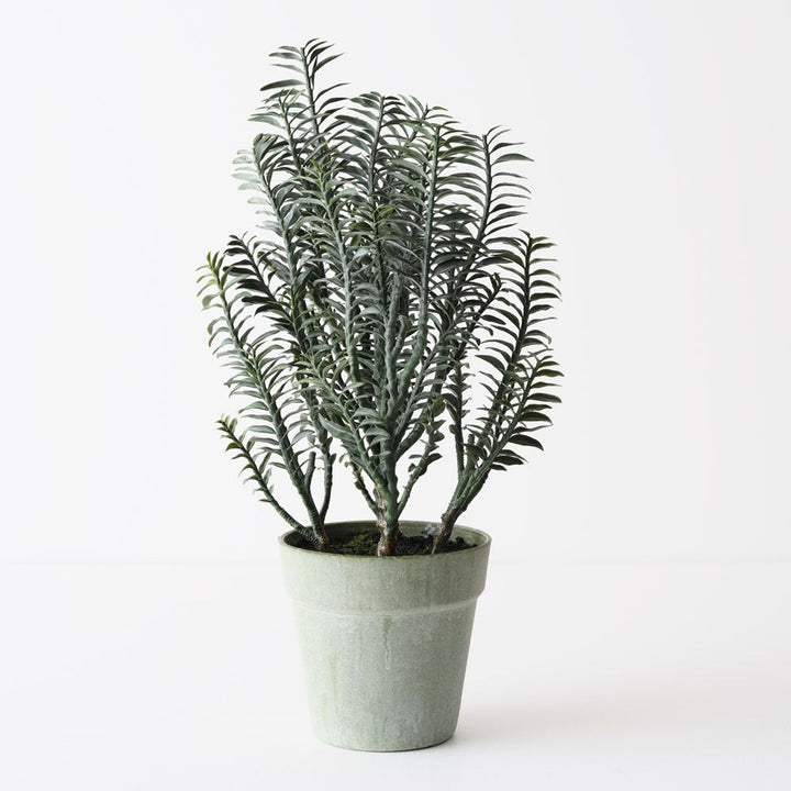Artificial backbone plant 45cm