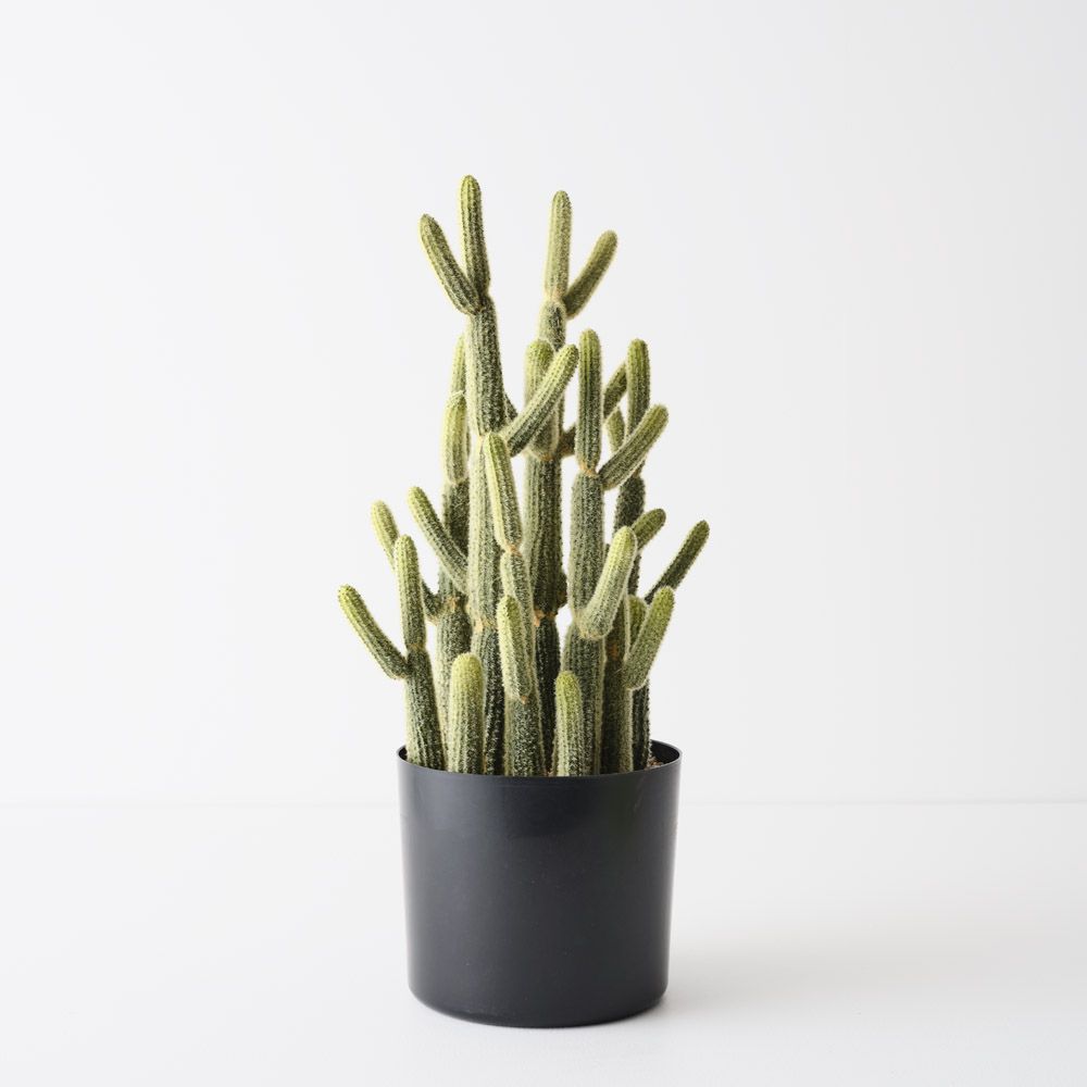 Artificial lady finger cactus plant 46cm