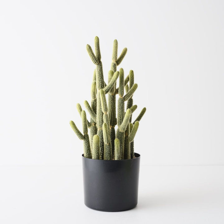Artificial lady finger cactus plant 46cm