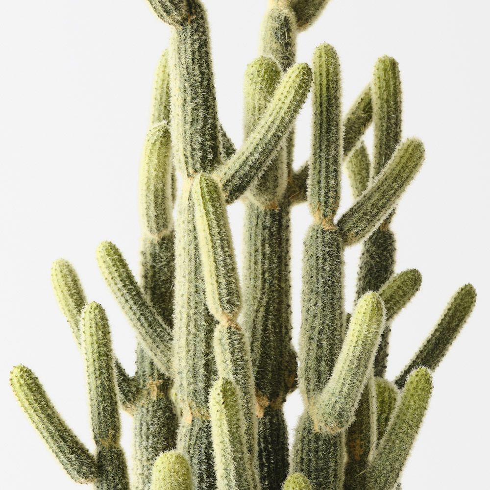 Artificial lady finger cactus plant 46cm – view 2