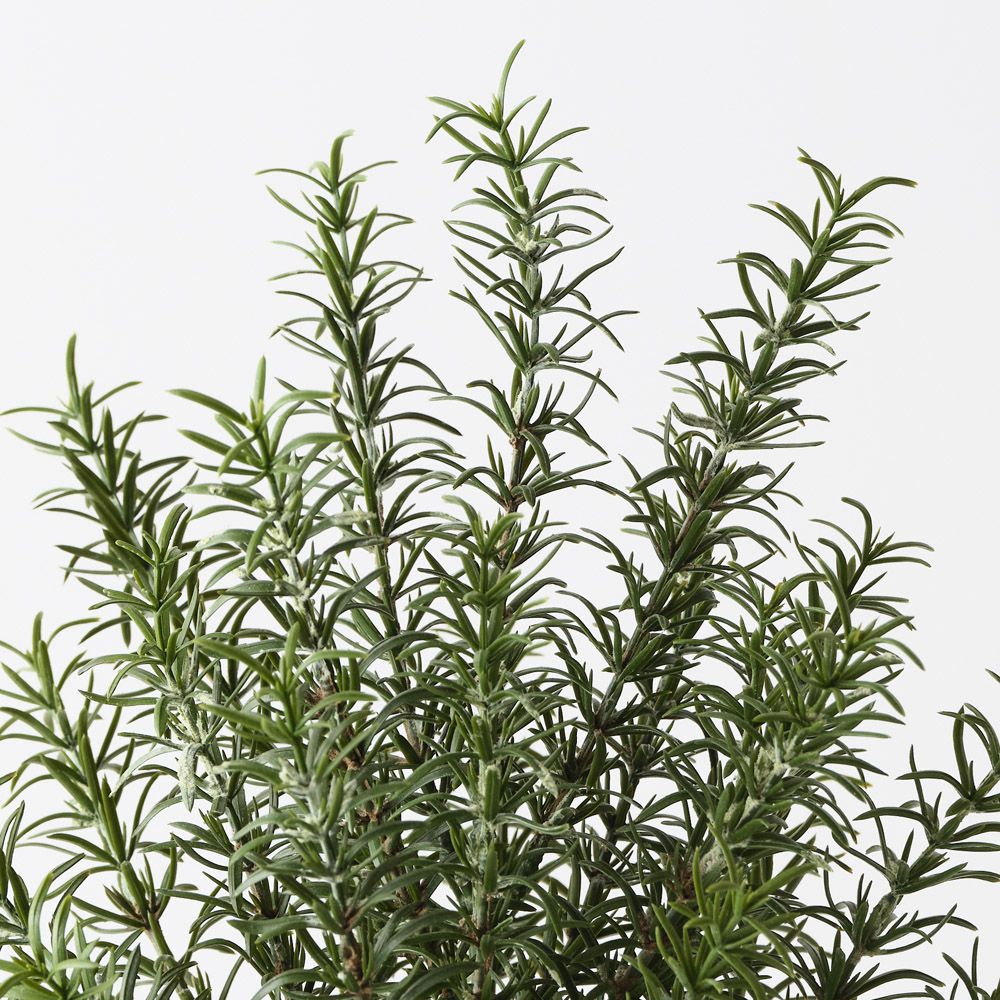 Artificial rosemary plant 38cm – view 2