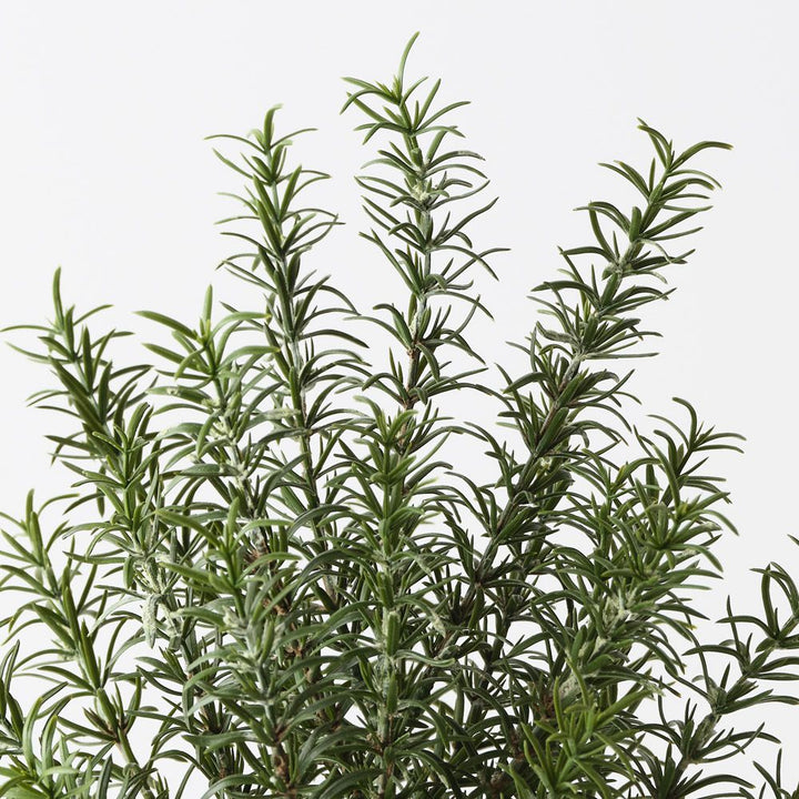Artificial rosemary plant 38cm – view 2